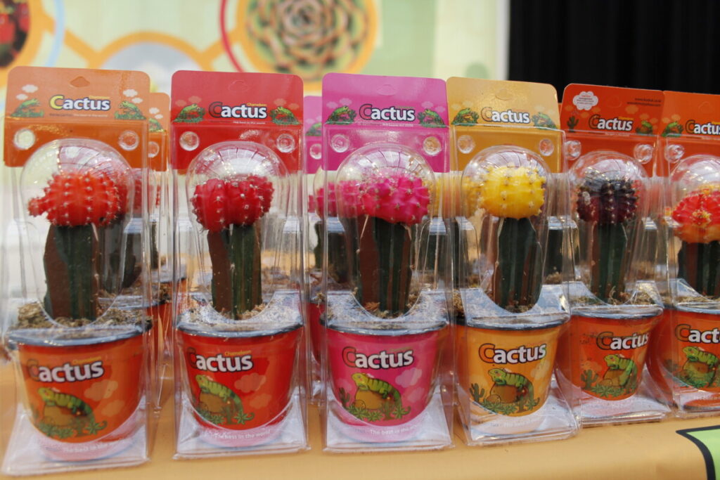 Crafted Cactus van Koduk Green House Zuid-Korea IFTF 2022